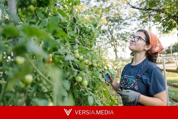 How One College Addresses Food Insecurity Through Urban Agriculture